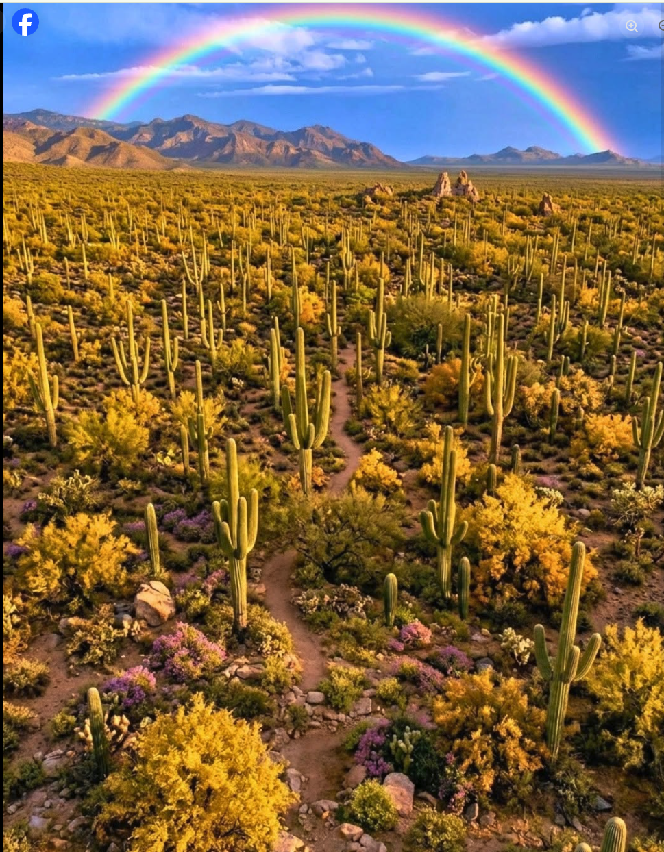 An AI-generated desert landscape with saguaro cacti, yellow and pink flowering shrubs, distant mountains, and a rainbow arcing across a partly cloudy sky.