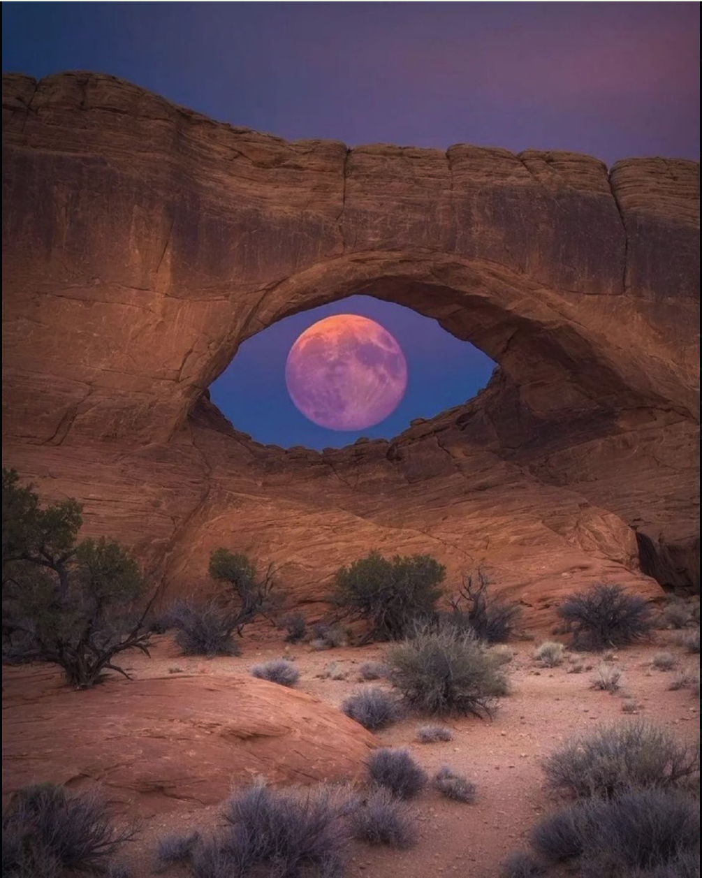 A large full moon centered within the opening of a sandstone rock arch at twilight, with desert shrubs in the foreground.