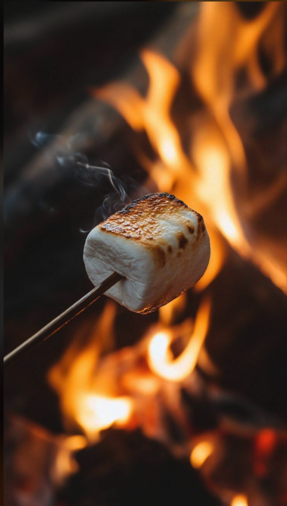 A toasted marshmallow on a stick held over an open fire, with smoke rising and flames in the background.