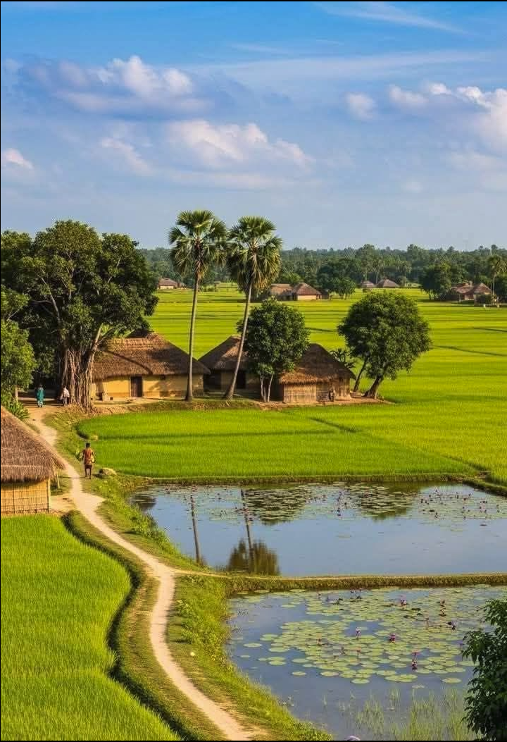 A rural village with thatched-roof huts, palm trees, green rice paddies, and a pond with water lilies under a partly cloudy blue sky.