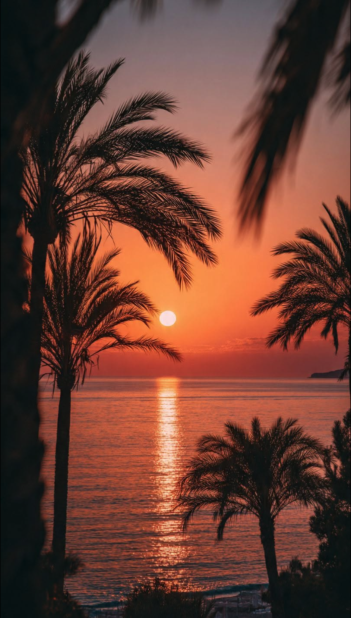 A sunset over a calm ocean, framed by dark silhouettes of palm trees.