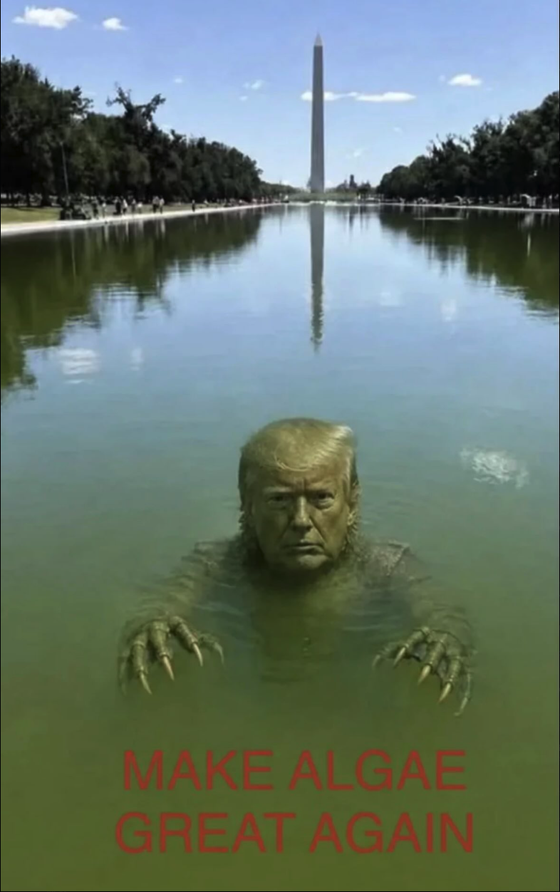A man resembling Donald Trump emerging from green algae-filled water in the Lincoln Memorial Reflecting Pool, with red text reading 'Make Algae Great Again'.