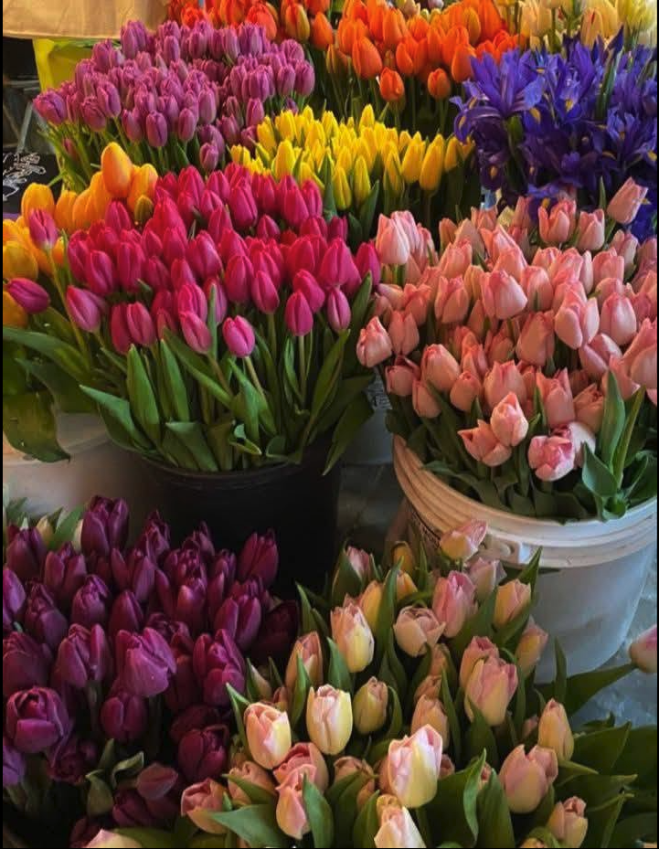 Buckets of colorful tulips including pink, orange, yellow, purple, and peach blooms arranged for sale.