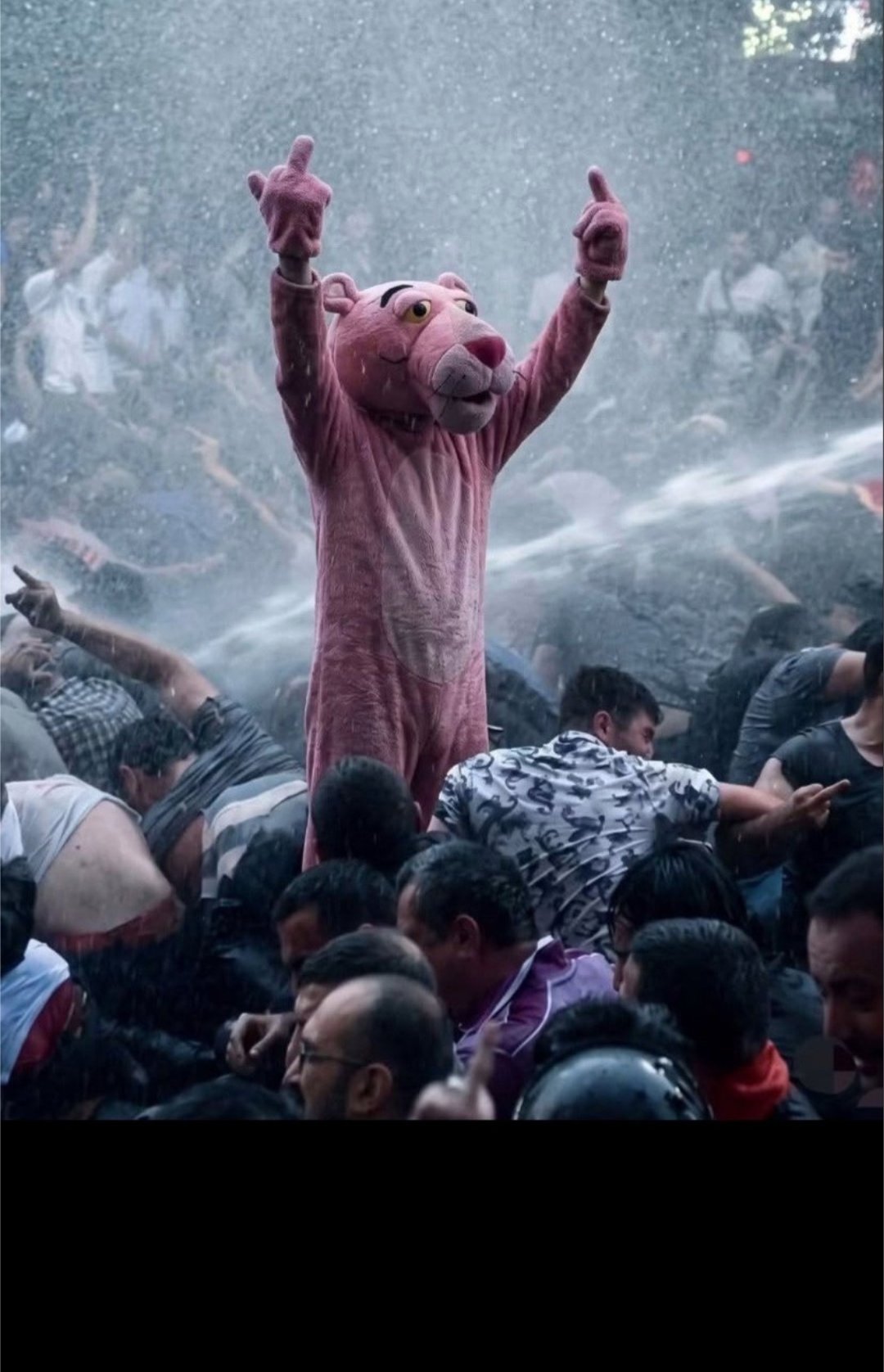 A figure in a pink panther costume standing with raised arms above a crowd during a protest, with smoke and water visible.