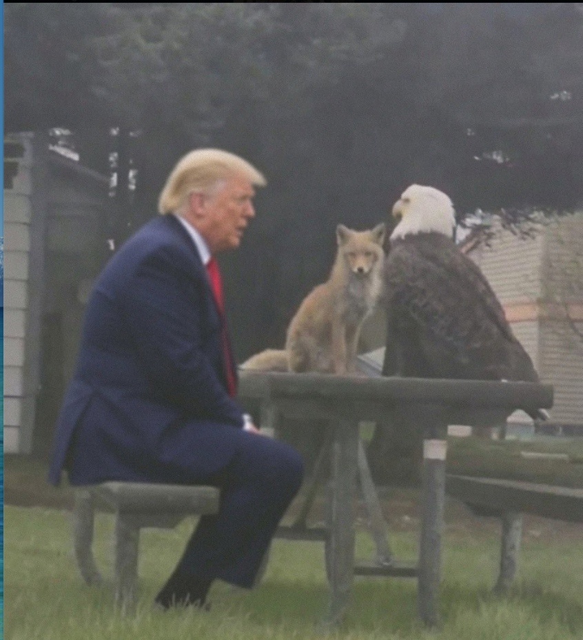 A man resembling Donald Trump seated at a wooden picnic table facing a fox and a bald eagle outdoors.