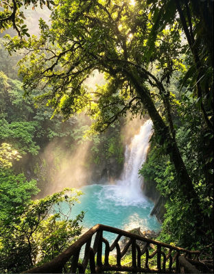 AI-generated tropical waterfall in a rainforest overlook