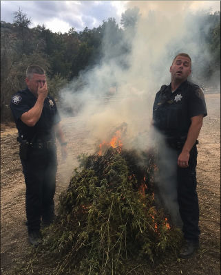 AI-generated image of two police officers standing near a burning pile of cannabis