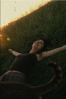 AI-generated image of a woman lying in grass at sunset with a cat