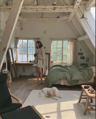 Reported AI-generated photo of a woman with a camera and dog in an attic bedroom
