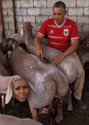 AI-generated image of Barack Obama grooming a goat with Michelle Obama's face