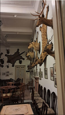 AI-generated image of a taxidermy-filled room interior