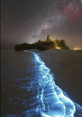 AI-generated bioluminescent beach scene under the Milky Way