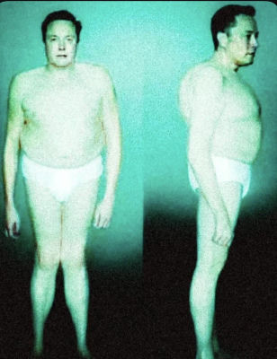 Deepfake of Elon Musk styled as historical alien photograph