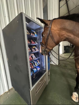 AI-generated image of a horse looking at a vending machine