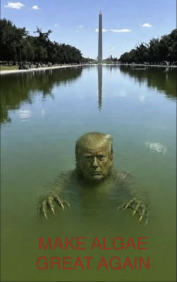AI-generated image of Donald Trump emerging from algae at the Lincoln Memorial