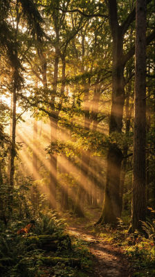 AI-generated forest scene with sunbeams through trees
