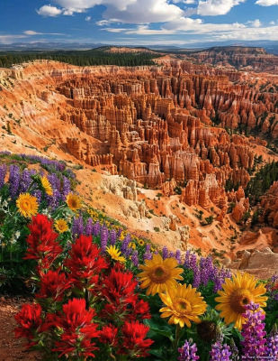 AI-generated landscape of Bryce Canyon hoodoos with wildflowers