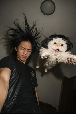 AI-generated image of a man with a leaping cat