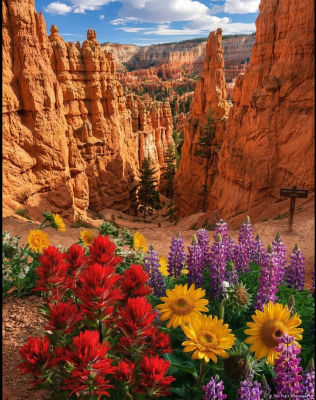 AI-generated landscape at Queen's Garden Trail, Bryce Canyon
