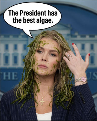 AI-generated image of Karoline Leavitt with algae in her hair at the White House podium