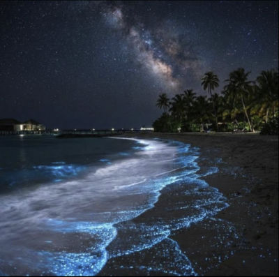 AI-generated image of a bioluminescent beach at night under the Milky Way