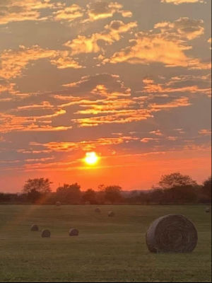 AI-generated sunset over a hay field with round bales