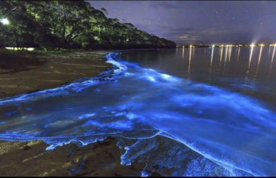 AI-generated image of bioluminescent waves glowing on a beach at night