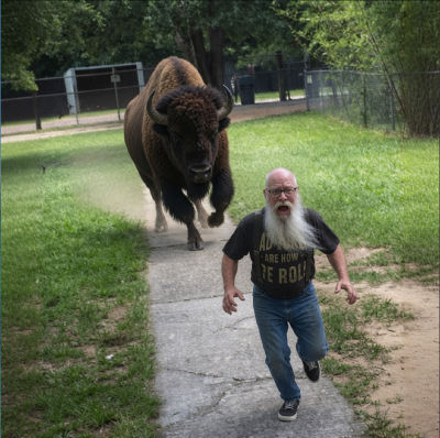 AI-generated image of a bearded man fleeing a charging bison on a park path