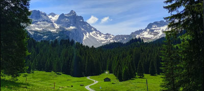 AI-generated alpine landscape with mountains, forest, and meadow