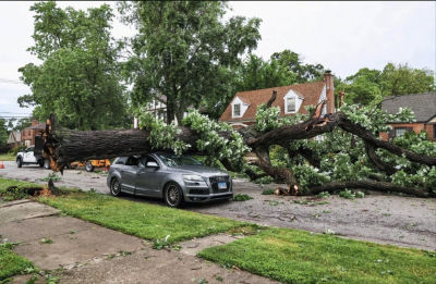 AI-generated image of a tree fallen on a car in a residential neighborhood