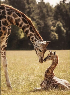 AI-generated image of an adult giraffe with a baby giraffe in a field