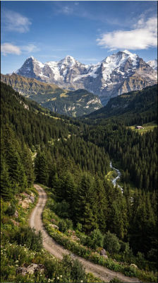 AI-generated alpine mountain landscape with forest path