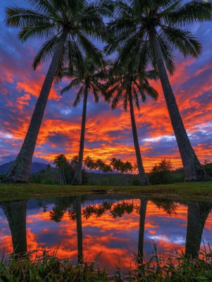 AI-generated tropical sunset landscape with palm trees and pond reflection