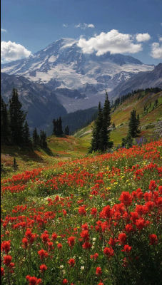 AI-generated image of Mount Rainier above a wildflower meadow